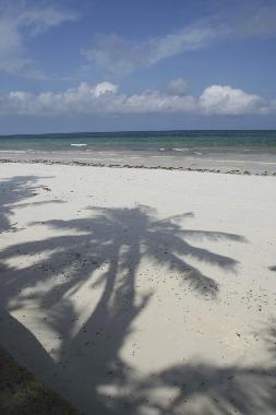 Appartement de vacances �/en/au Diani  (Coast)ou appartement ou maison de vacances