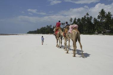 Appartement de vacances �/en/au Diani  (Coast)ou appartement ou maison de vacances