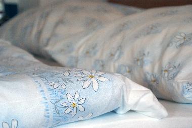 Appartement de vacances /en/au Vienna (Vienne)ou appartement ou maison de vacances