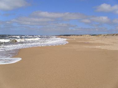 Maison de vacances �/en/au Tio Tom/ Punta Ballena (Maldonado)ou appartement ou maison de vacances