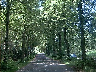 Maison de vacances /en/au Mariannelud (Smaland)ou appartement ou maison de vacances