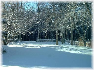 Maison de vacances /en/au Mariannelud (Smaland)ou appartement ou maison de vacances