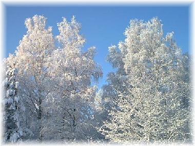 Maison de vacances /en/au Mariannelud (Smaland)ou appartement ou maison de vacances