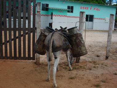 Appartement de vacances �/en/au Canavieiras (Bahia)ou appartement ou maison de vacances
