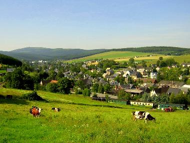 Appartement de vacances /en/au Sehmatal  OT Neudorf (Erzgebirge)ou appartement ou maison de vacances