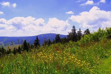 Appartement de vacances /en/au Sehmatal  OT Neudorf (Erzgebirge)ou appartement ou maison de vacances