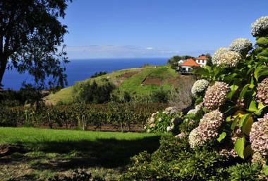 Maison de vacances /en/au Ponta do Pargo (Madeira)ou appartement ou maison de vacances