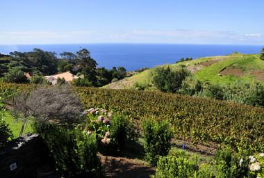 Maison de vacances /en/au Ponta do Pargo (Madeira)ou appartement ou maison de vacances