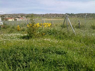Maison de vacances /en/au Muopepe (vila)ou appartement ou maison de vacances