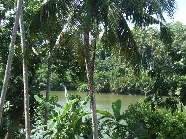 Chambre avec petit djeuner /en/au Weligama-Pelena (Galle)ou appartement ou maison de vacances