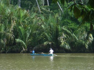 Chambre avec petit djeuner /en/au Weligama-Pelena (Galle)ou appartement ou maison de vacances