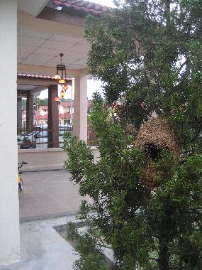 Maison de vacances /en/au langkawi island (Kedah)ou appartement ou maison de vacances