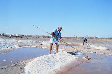 Appartement de vacances �/en/au Tavira (Algarve)ou appartement ou maison de vacances