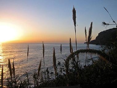 Maison de vacances �/en/au Ribeira Brava (Madeira)ou appartement ou maison de vacances