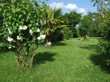 Maison de vacances �/en/au Civray (Vienne)ou appartement ou maison de vacances