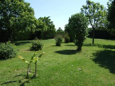 Maison de vacances �/en/au Civray (Vienne)ou appartement ou maison de vacances