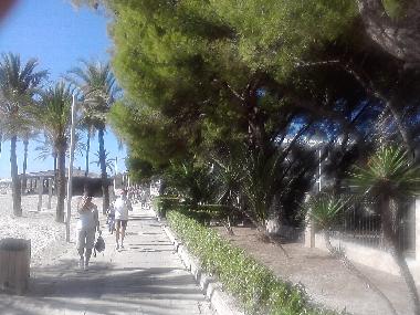 Appartement de vacances /en/au Pto.Alcudia (Mallorca)ou appartement ou maison de vacances