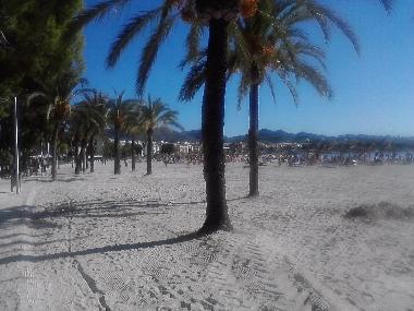 Appartement de vacances /en/au Pto.Alcudia (Mallorca)ou appartement ou maison de vacances