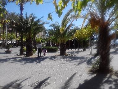 Appartement de vacances /en/au Pto.Alcudia (Mallorca)ou appartement ou maison de vacances