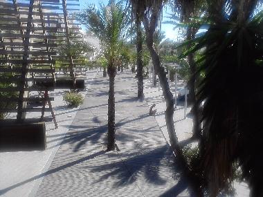 Appartement de vacances /en/au Pto.Alcudia (Mallorca)ou appartement ou maison de vacances