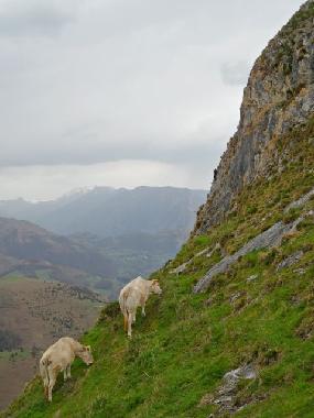 Maison de vacances �/en/au Lourdes Ossun-ez-Angles (Hautes-Pyr�n�es)ou appartement ou maison de vacances