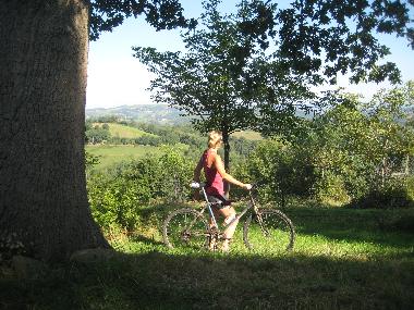 Maison de vacances �/en/au Lourdes Ossun-ez-Angles (Hautes-Pyr�n�es)ou appartement ou maison de vacances