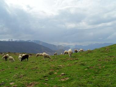 Maison de vacances �/en/au Lourdes Ossun-ez-Angles (Hautes-Pyr�n�es)ou appartement ou maison de vacances