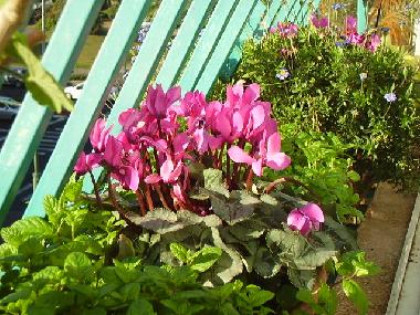 Appartement de vacances �/en/au Tel Aviv (Tel Aviv)ou appartement ou maison de vacances