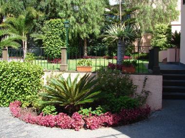 Villa /en/au Funchal (Madeira)ou appartement ou maison de vacances