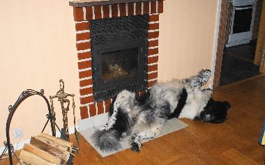 Maison de vacances /en/au Lnneberga (Smaland)ou appartement ou maison de vacances