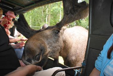 Maison de vacances /en/au Lnneberga (Smaland)ou appartement ou maison de vacances
