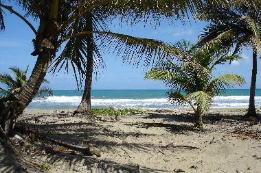 H�tel �/en/au Cabarete (Puerto Plata)ou appartement ou maison de vacances