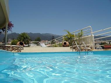 Appartement de vacances /en/au Funchal (Madeira)ou appartement ou maison de vacances