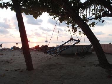 Maison de vacances /en/au Guraidhoo (Thaa)ou appartement ou maison de vacances