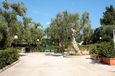 Appartement de vacances �/en/au Torre Canne (Brindisi)ou appartement ou maison de vacances