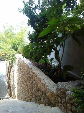 Appartement de vacances /en/au Makarska (Splitsko-Dalmatinska)ou appartement ou maison de vacances