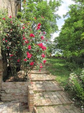 Maison de vacances /en/au Sassocorvaro (Pesaro e Urbino)ou appartement ou maison de vacances