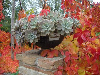 Maison de vacances /en/au Sassocorvaro (Pesaro e Urbino)ou appartement ou maison de vacances