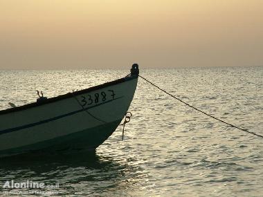 Appartement de vacances �/en/au Haifa (Hefa (Haifa))ou appartement ou maison de vacances