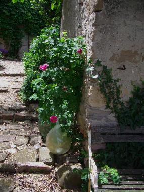 Maison de vacances �/en/au Sassocorvaro (Pesaro e Urbino)ou appartement ou maison de vacances