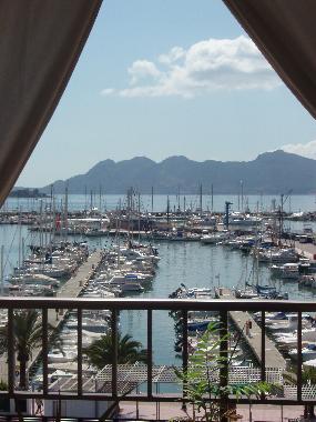 Appartement de vacances �/en/au Puerto Pollensa  Mallorca (Mallorca)ou appartement ou maison de vacances