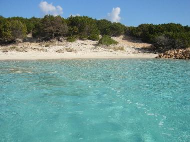 Appartement de vacances �/en/au la maddalena (Olbia-Tempio)ou appartement ou maison de vacances