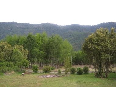 Maison de vacances �/en/au pucon (Araucania)ou appartement ou maison de vacances