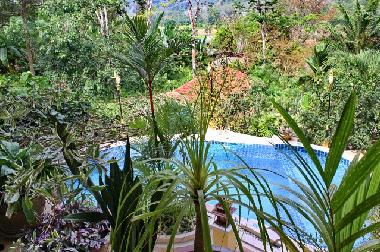 Villa /en/au naithon (Phuket)ou appartement ou maison de vacances