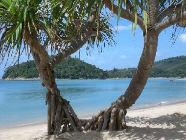 Villa /en/au naithon (Phuket)ou appartement ou maison de vacances