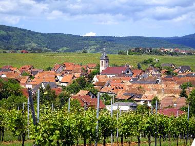 beblenheim vue du vignoble clos des raisins chambre d