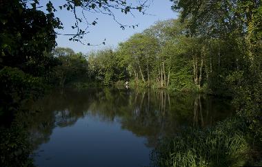 Maison de vacances �/en/au Bideford (South West)ou appartement ou maison de vacances