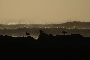 Maison de vacances �/en/au Bideford (South West)ou appartement ou maison de vacances