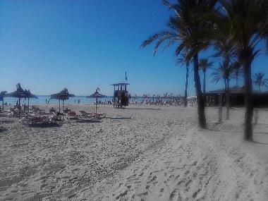 Appartement de vacances /en/au Pto.Alcudia (Mallorca)ou appartement ou maison de vacances