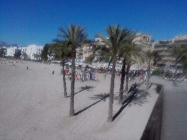 Appartement de vacances /en/au Pto.Alcudia (Mallorca)ou appartement ou maison de vacances